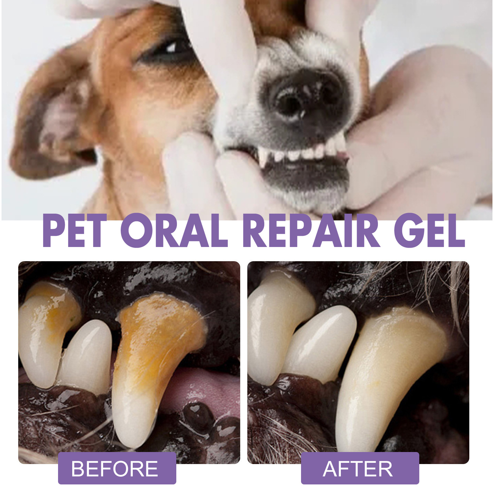 Pet Oral Onarım Jeli Yavru Tar - Teeth Whitening Gels Used By Dentists incelemesi ve fiyatı